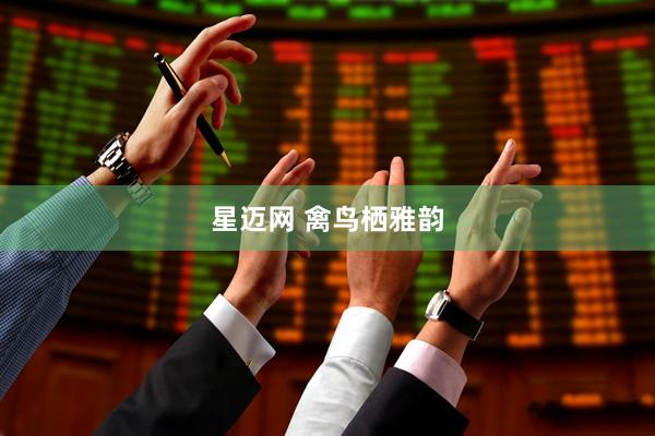 星迈网 禽鸟栖雅韵