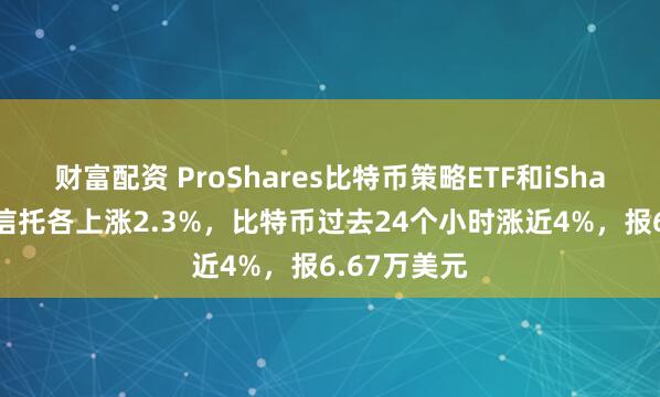 财富配资 ProShares比特币策略ETF和iShares比特币信托各上涨2.3%，比特币过去24个小时涨近4%，报6.67万美元